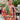 Uppgradera din stil med vår fantastiska kimono - More Malmo