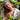 SOPHIA cotton headband – soft retro style with modern comfort